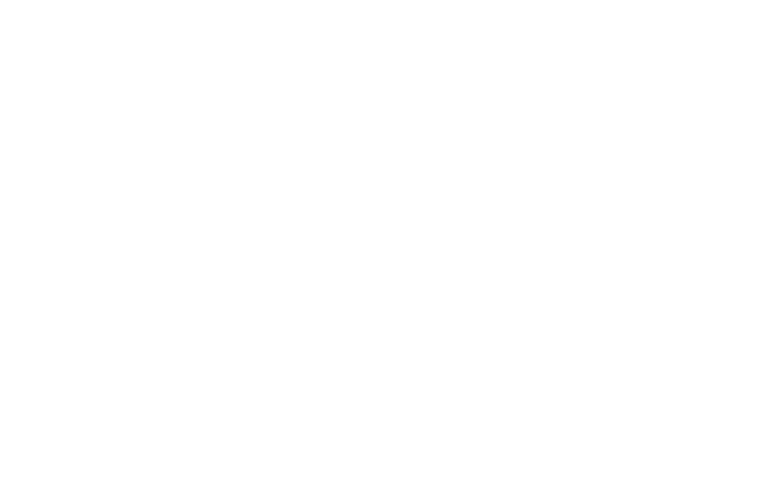 RiZZ