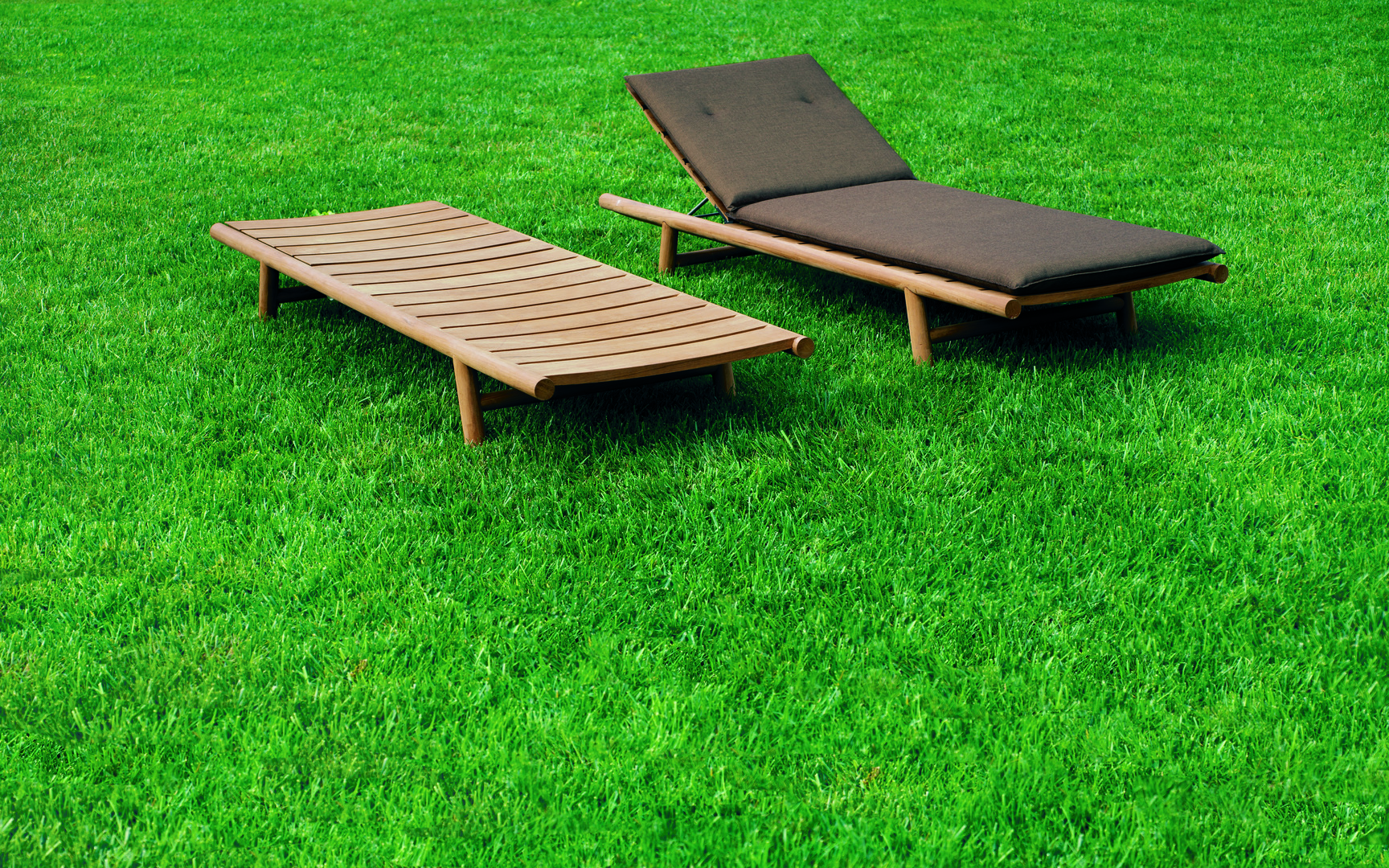 ORSON sunloungers.jpg