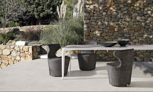Papilio outdoor