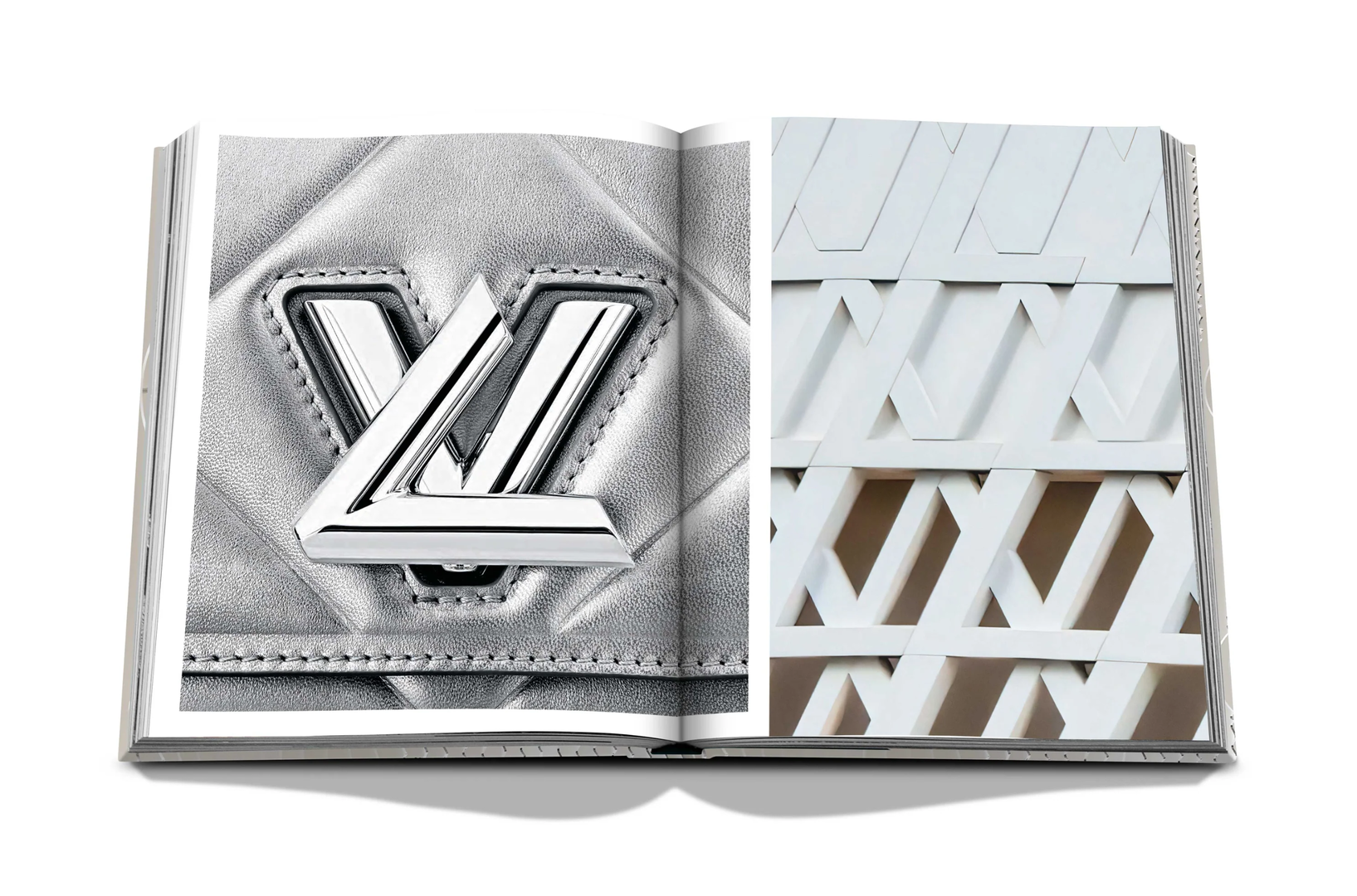 Louis Vuitton boek 9.png
