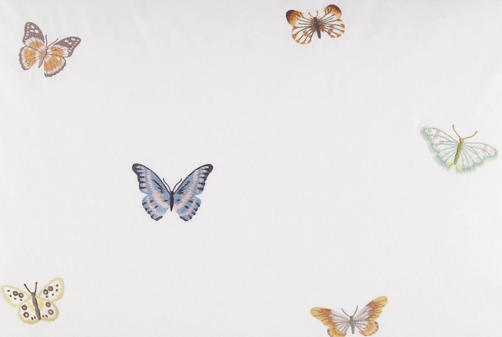 Butterfly 2.png