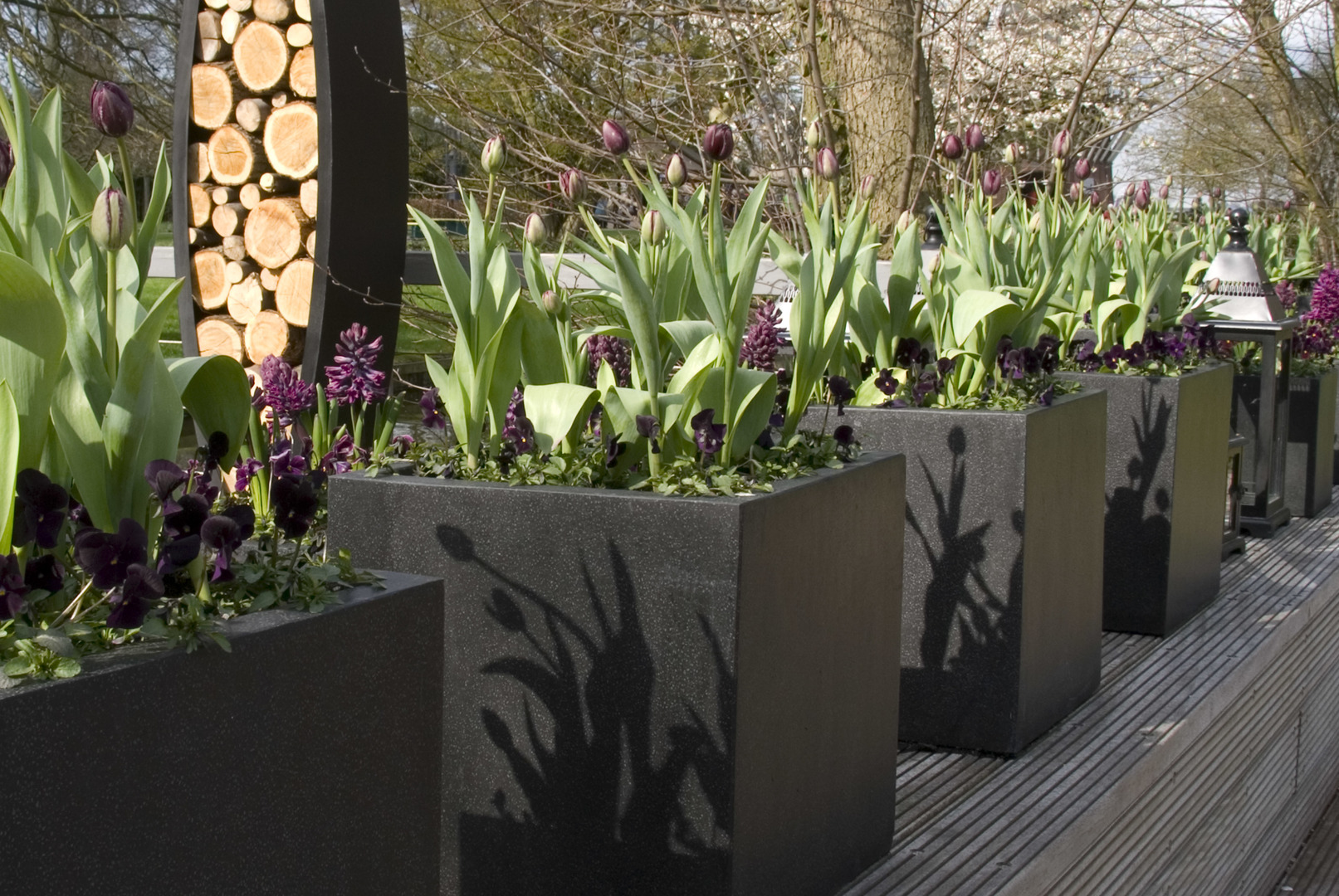 Zeno Canoa houtopslag Keukenhof (2).jpg