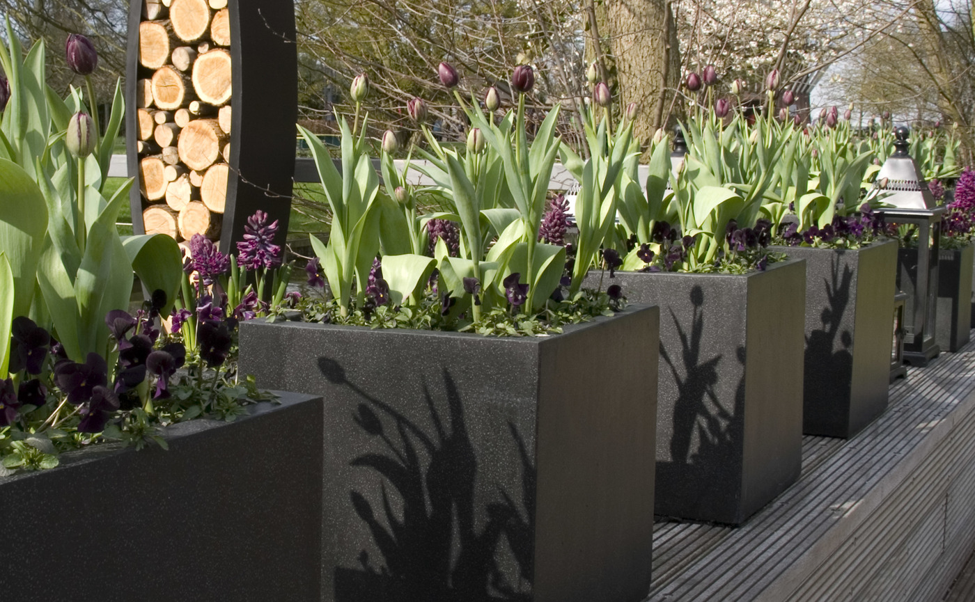 Zeno Canoa houtopslag Keukenhof (2).jpg