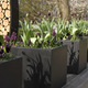 Zeno Canoa houtopslag Keukenhof (2).jpg