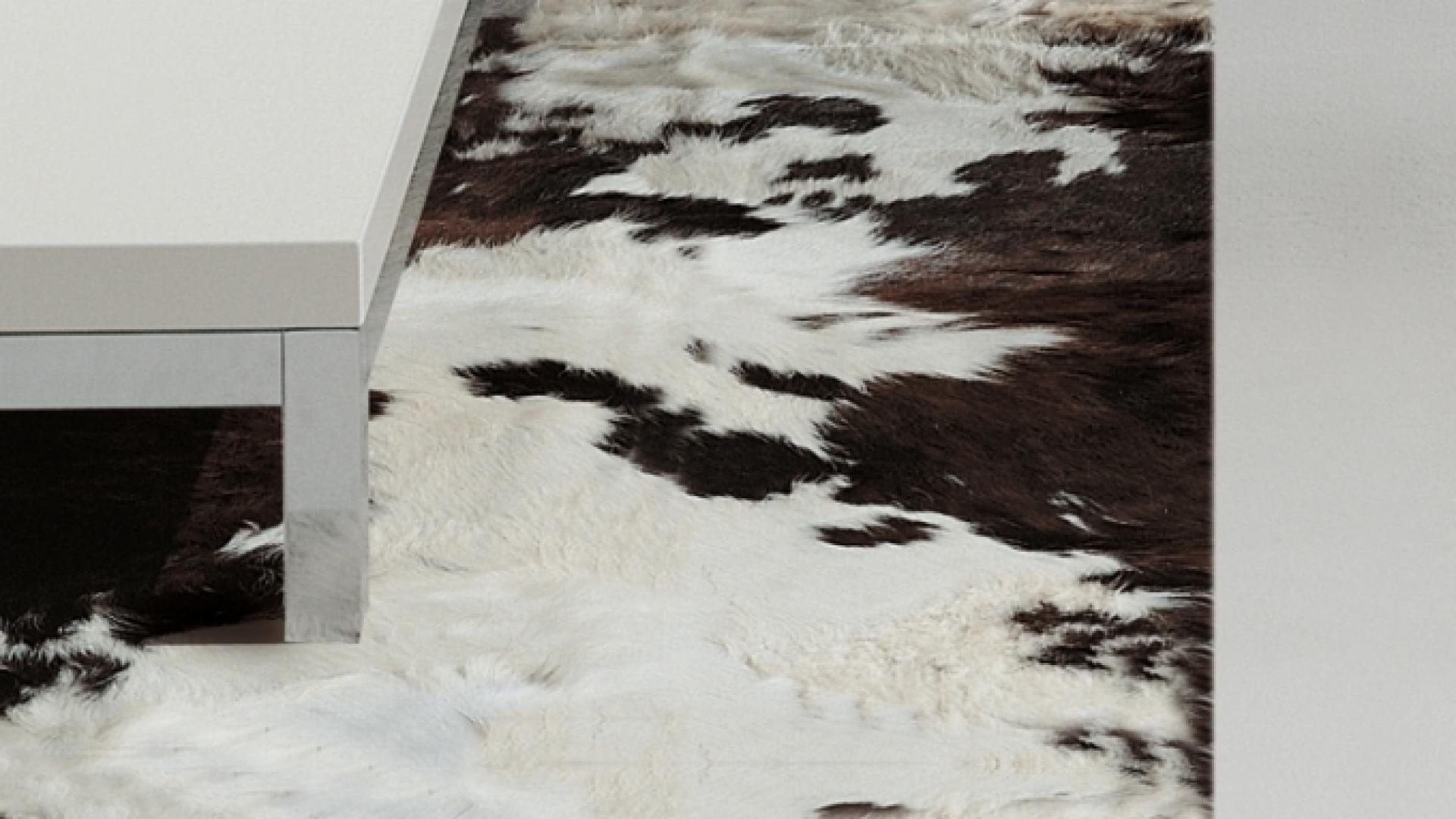 COW_CARPET-791.jpg