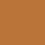 Glossy khaki orange