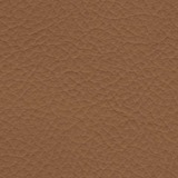 Leather Beta 330