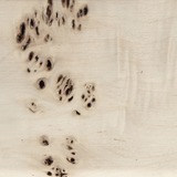 Hout