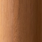 European oak