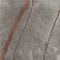 Earth Lines 01