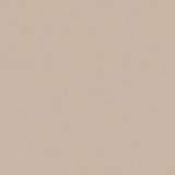 Glazen blad: Bright champagne