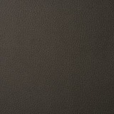 Leather Cat. L1 - Fard anthracite 2379
