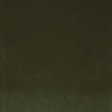 Velvet cat. A: 7307 moss