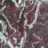 Red Levanto Marble