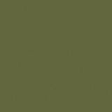 Matt lacquered dark olive green