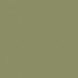 Matt lacquered medium olive green