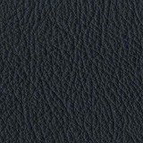 Pelle Nature leather Aspen: blue marine 25