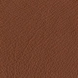 Leather Aspen: 03 TERRACOTTA