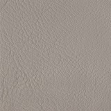 Leather aspen: 06 POMICE
