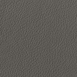Leather aspen: 16 CORTECCIA