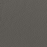 Leather aspen: 16 CORTECCIA