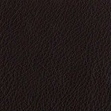 Leather aspen: 18 CASTAGNO