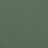 Leather aspen: 19 CELADON