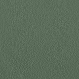 Leather aspen: 19 CELADON