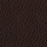 Leather Aspen: 04 Resina