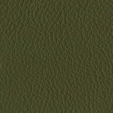 Leather Aspen: 08 Verde Prato