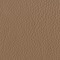 Leather aspen: 15 CANAPA