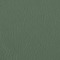 Leather aspen: 19 CELADON