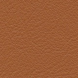 Premium leather cognac