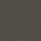 Premium leather Umbra grey