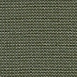 17 forest/sierra grey