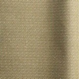 313 Olive