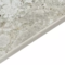 Keramiek fossil