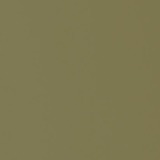 Glossy lacquered khaki green