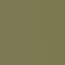 Glossy lacquered khaki green