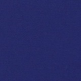 Level B true blue 5499