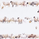 Counting Sheep