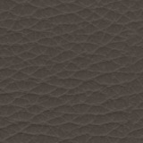 Leather Alfa 255