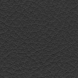 Leather Beta 155
