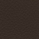 Leather Beta 251