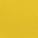 X048 matt mustard yellow