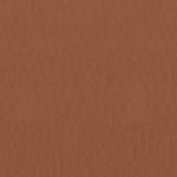 B: york 917 Artificial Leather rust