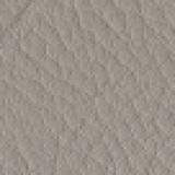 Leather aspen: 06 POMICE