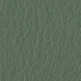 Leather aspen: 19 CELADON