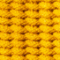 Rope sunflower