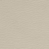 Eco-leather 007